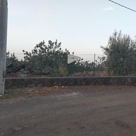 Cuntarati Nature Tourism - Simeto Etna Bronte Eksteriør bilde