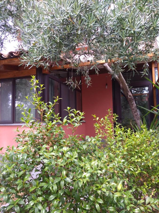 Cuntarati Nature Tourism - Simeto Etna Bronte Eksteriør bilde