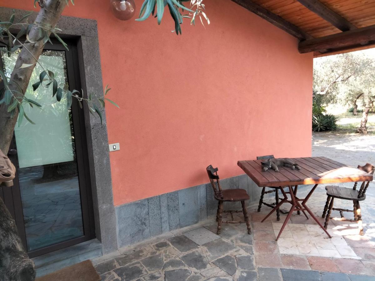Cuntarati Nature Tourism - Simeto Etna Bronte Eksteriør bilde