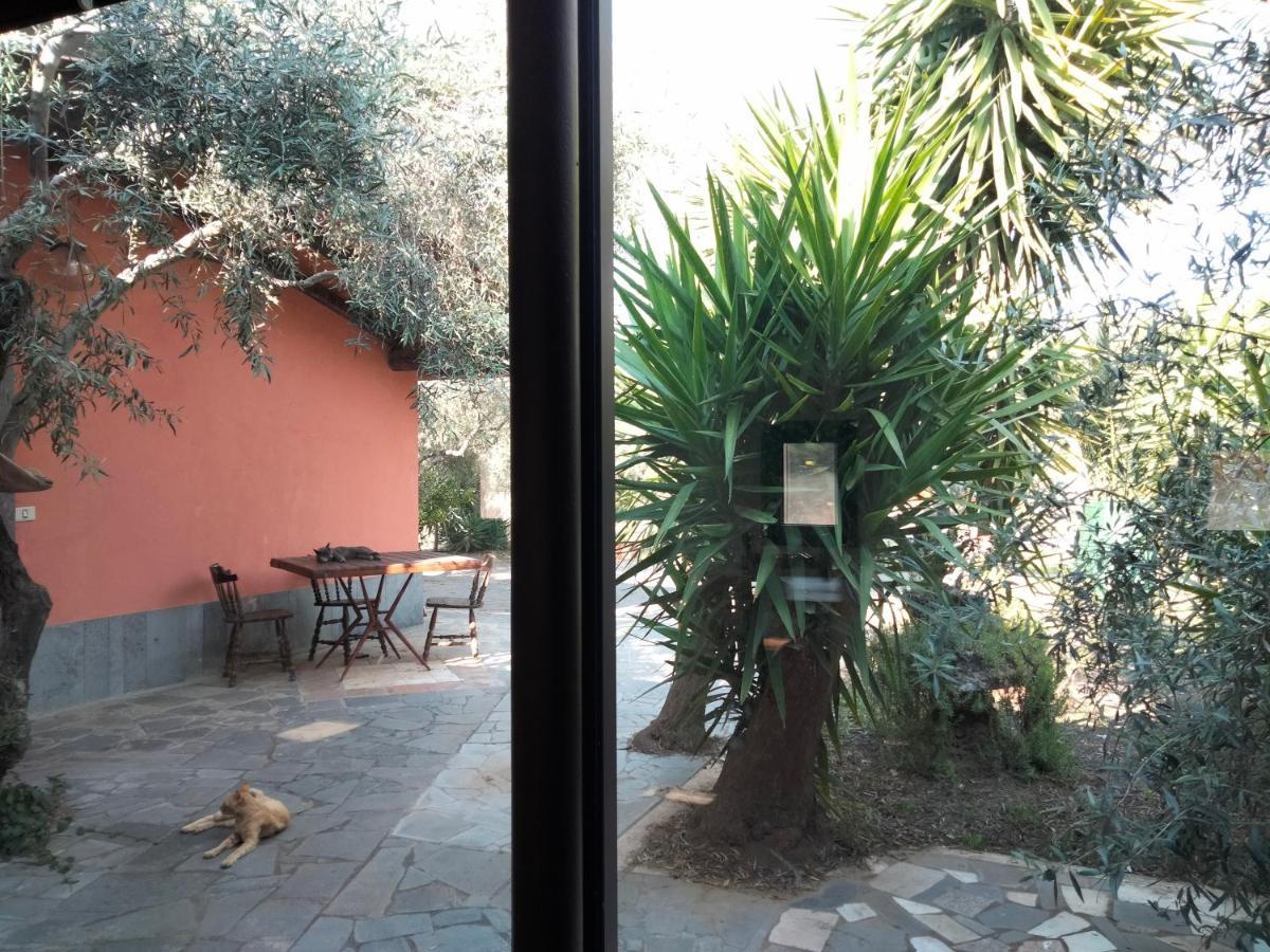 Cuntarati Nature Tourism - Simeto Etna Bronte Eksteriør bilde