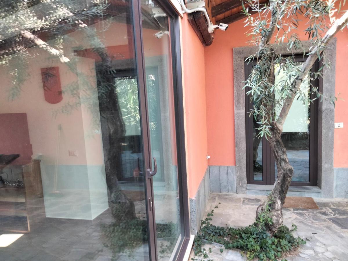 Cuntarati Nature Tourism - Simeto Etna Bronte Eksteriør bilde
