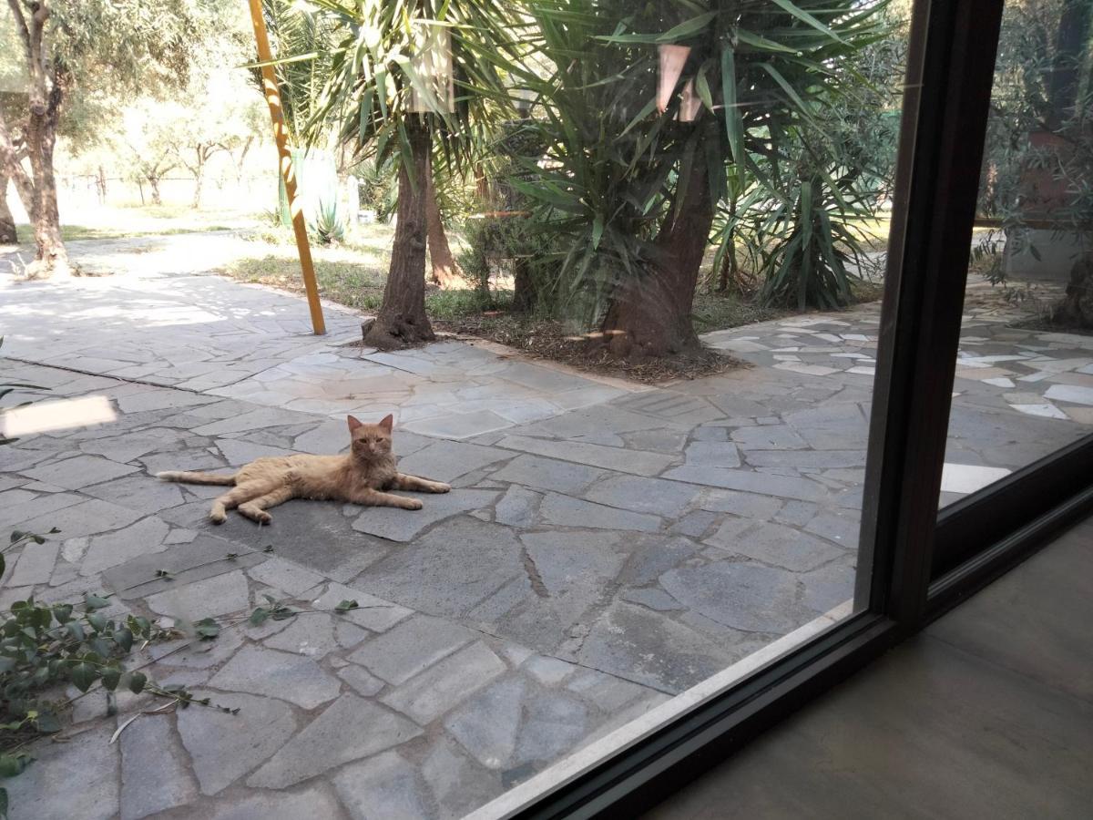 Cuntarati Nature Tourism - Simeto Etna Bronte Eksteriør bilde