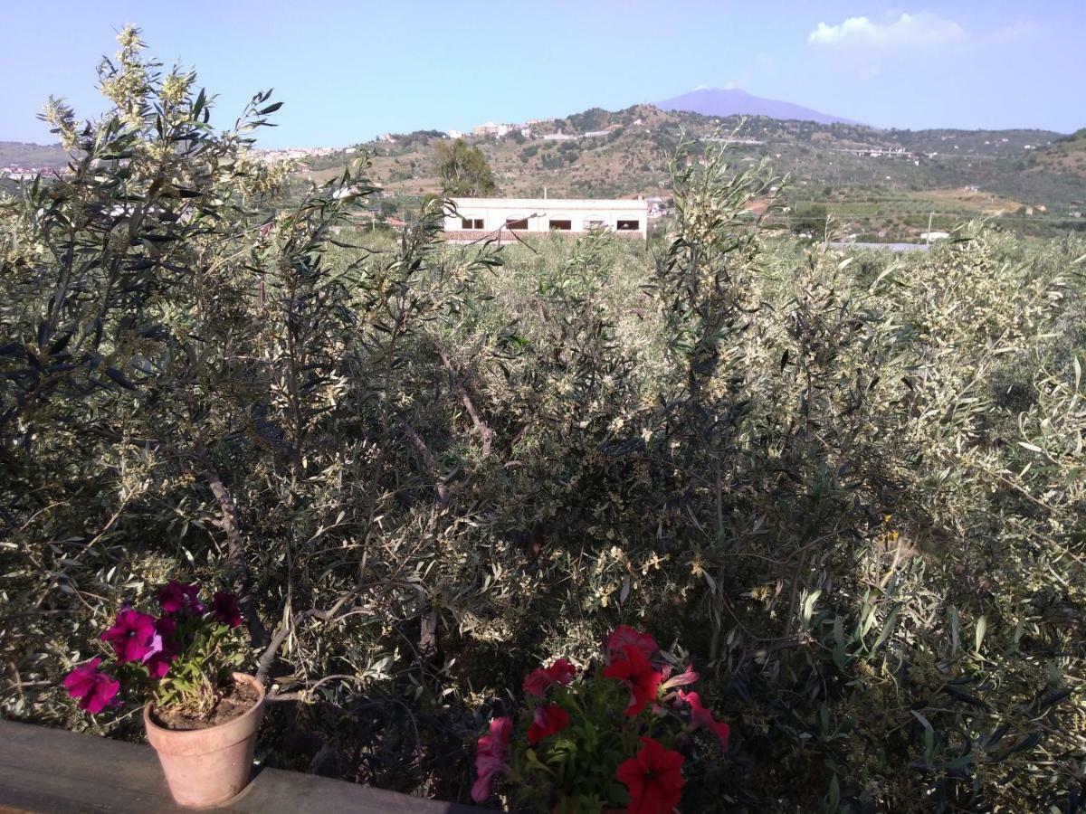 Cuntarati Nature Tourism - Simeto Etna Bronte Eksteriør bilde