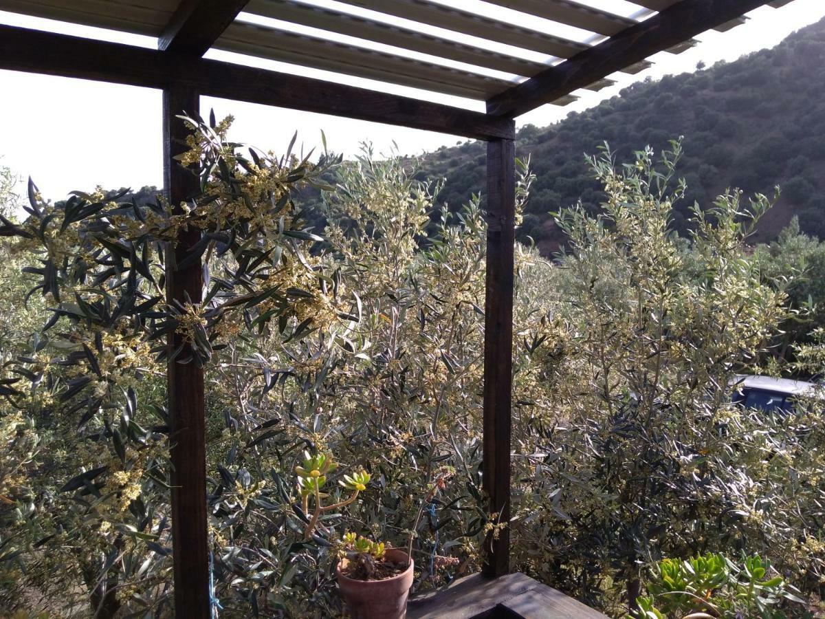 Cuntarati Nature Tourism - Simeto Etna Bronte Eksteriør bilde