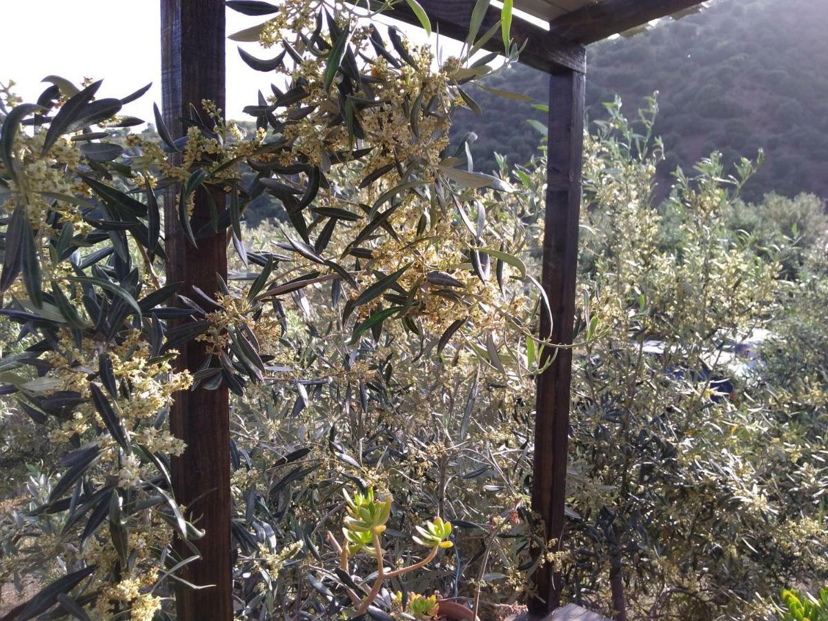 Cuntarati Nature Tourism - Simeto Etna Bronte Eksteriør bilde